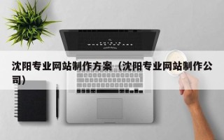韩城沈阳专业网站制作方案（沈阳专业网站制作公司）